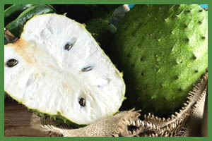Soursop Pulps. Handmade Organic Products